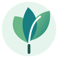 BioMind leaf logo